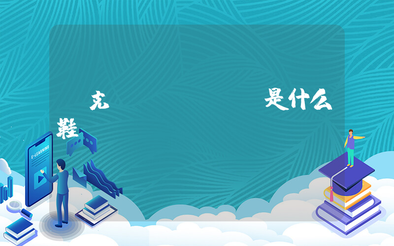 耐克air max是什么鞋插圖